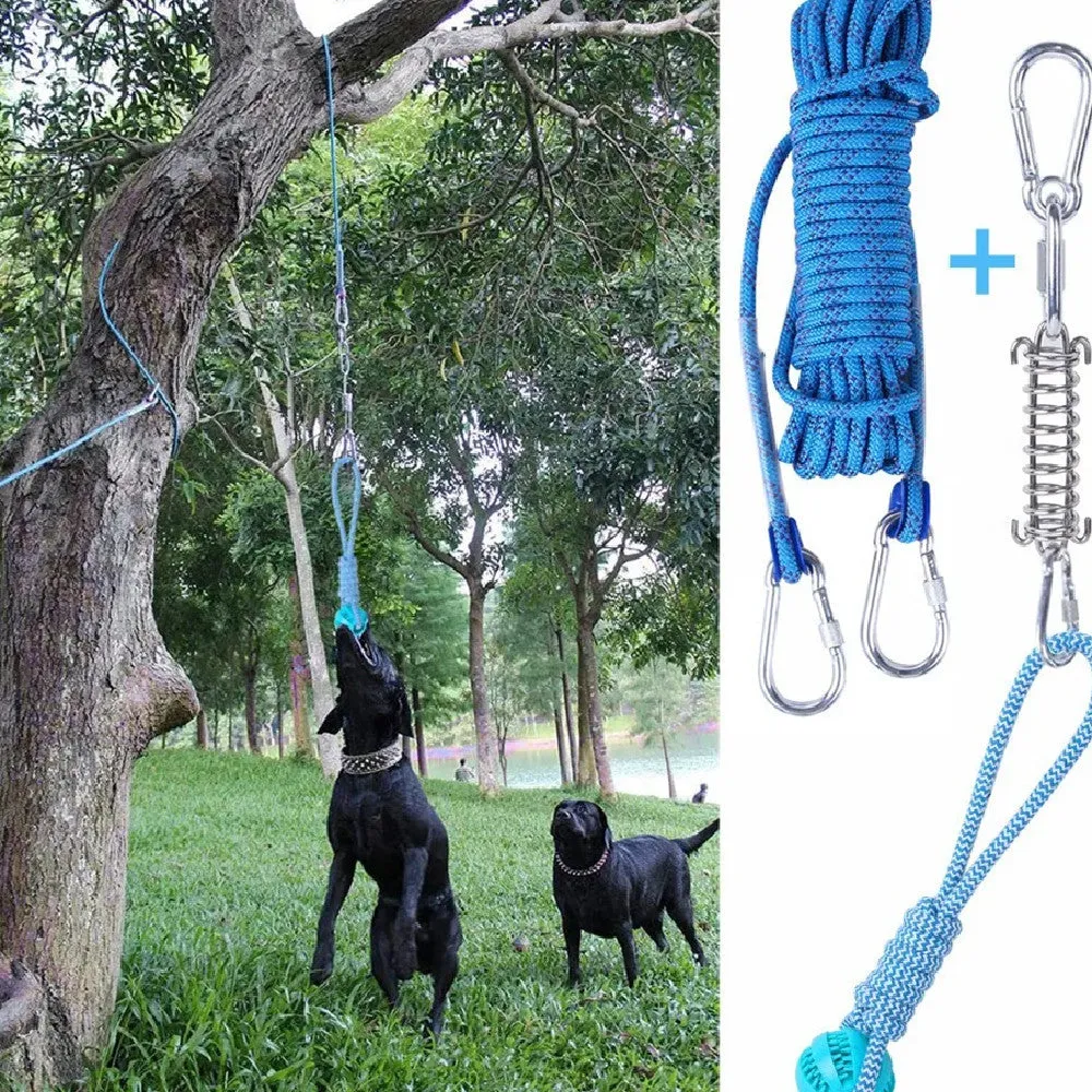 Outdoor Funny Dog Toy