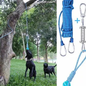 Outdoor Funny Dog Toy